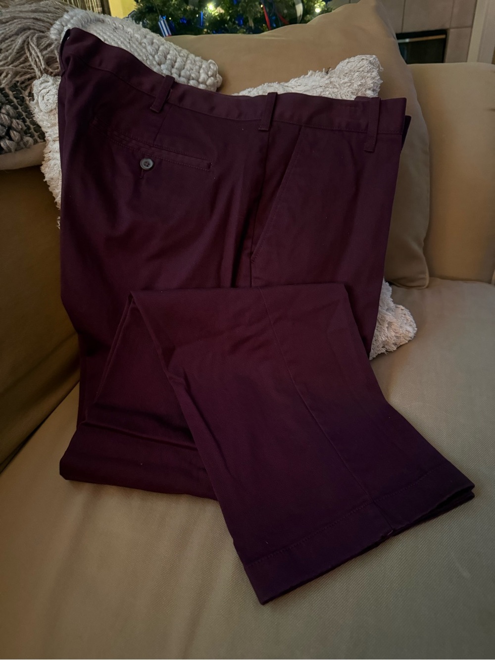 J. Crew Men's Chinos in Deep Plum
